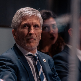 El ministro del Interior, Fernando Grande-Marlaska durante un acto en Madrid, a 7 de noviembre de 2023.