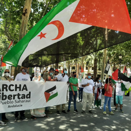 marchas por la libertad del pueblo saharaui