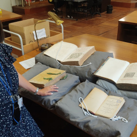 Isabel Ruiz de Elvira, directora del Departamento de Manuscritos, Incunables y Raros de la BNE.