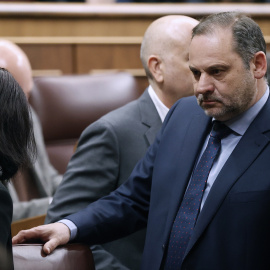 El diputado del PSOE José Luis Ábalos, en un pleno del Congreso.