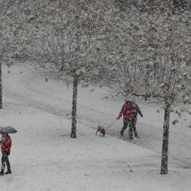 El temporal de nieve ha llegado de lleno este fin de semana a Pamplona donde este domingo ha empezado a nevar con fuerza en la capital navarra.