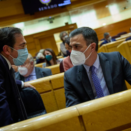 16/11/2021.- El ministro de Asuntos Exteriores, José Manuel Albares, y el presidente del Gobierno, Pedro Sánchez, durante una sesión de control al Gobierno en el Senado. Jesús Hellín / Europa Press