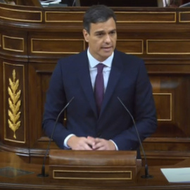Pedro Sánchez en el Congreso.