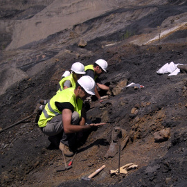 Excavación de fósiles en la mina Santa María, en Ariño. /FUNDACIÓN DINÓPOLIS