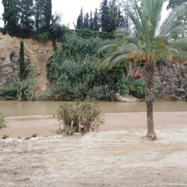 Aspecto del municipio de Blanca, en Murcia, y del río Segura tras el paso de la DANA. / Europa Press