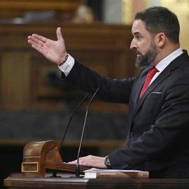 Santiago Abascal, líder de Vox, en el Congreso. (FERNANDO VILLAR | EFE)