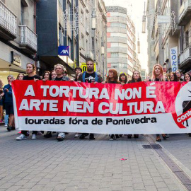 Una manifestación antitaurina en Pontevedra.