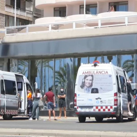 Las claves del macrobrote de Mallorca