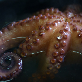 Una fotografía tomada el 22 de noviembre de 2014 muestra un 'pulpo a feira' en el restaurante Ultreya en Palas de Rei.