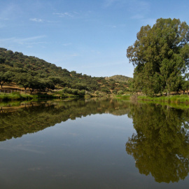 Río Guadalimar, afluente del Guadalquivir.
