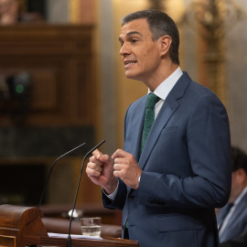 El presidente del Gobierno, Pedro Sánchez, durante su intervención en el Congreso este miércoles 17 de julio.