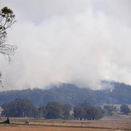 Humo de los incendios en Wytaliba, localidad cercana a Glen Innes. / NEW ZEALAND OUT
