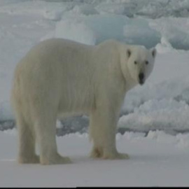 El sonido del camabio climático
