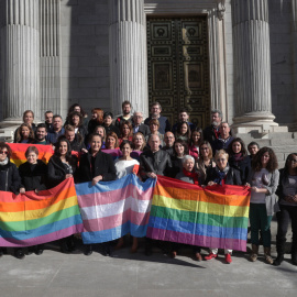 Representes del colectivo LGTIB en las escalinatas del parlamento, tras la votación en que la que todos los grupos de la oposición han rechazado el texto alternativo del PP a la ley LGTBI de Podemos.EFE/Zipi