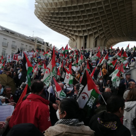 Numerosas banderas saharauis en la manifestación en Sevilla contra el apoyo del Gobierno a la autonomía que promueve Marruecos.