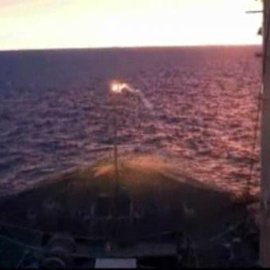 Lucha por la vida y la muerte de las ballenas en el mar