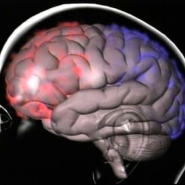Estudian el cerebro para llegar mejor al consumidor