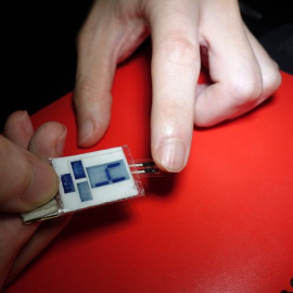 sudor de la yema del dedo