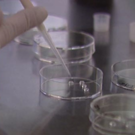 Primer bebé que nace libre de mutación hereditaria