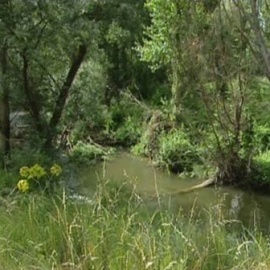 Día Mundial del Agua, un recurso imprescindible