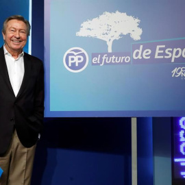 El presidente del Comité Organizador del Congreso del PP, Luis de Grandes, en una imagen reciente. (CHEMA MOYA | EFE)