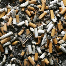 La naturaleza puede verse afectada por otros factores como los incendios provocados por las colillas mal apagadas / REUTERS