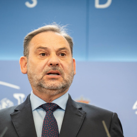 El diputado del Grupo Mixto José Luis Ábalos, durante una rueda de prensa, en el Congreso de los Diputados