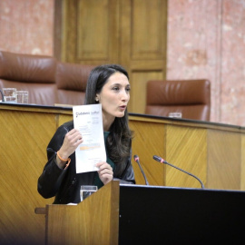 Mónica Moreno, portavoz adjunta de Ciudadanos en el Parlamento de Andalucía