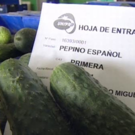 Miedo al cierre de fronteras para el pepino español