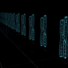 Hallado el genoma de la leucemia linfática