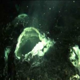 Descubren la erupción de un volcán submarino