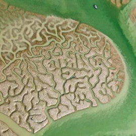 Desde su declaración en 1969 como parque nacional, hasta la fecha, Doñana ha sufrido varias transformaciones / Héctor Garrido (EBD-CSIC)