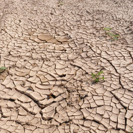 11/05/2022-Imagen de archivo de tierra afectada por la sequía