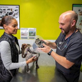 5/12/2019 - La visita de Tracy Sanyerr y su perro Belle a la consulta del veterinario en San Luis de Sabinillas (Málaga). / EFE - ROMÁN RÍOS