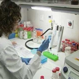 La inmortalidad de las células tumorales, otro frente en la lucha contra el cáncer