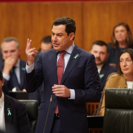 Juan Marín, sentado, y Juanma Moreno, de pie, con los lazos con la bandera de Andalucía en la solapa. Europa Press