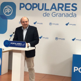 Sebastián Pérez, presidente del PP de Granada. / EP