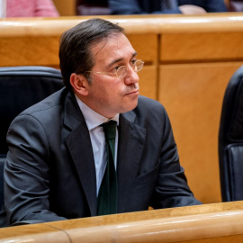 El ministro de Asuntos Exteriores, Unión Europea y Cooperación, José Manuel Albares, en una sesión de control al Gobierno en el Senado, a 26 de abril de 2022, en Madrid.