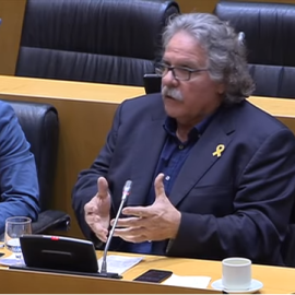 Joan Tardà en el Congreso/Youtube