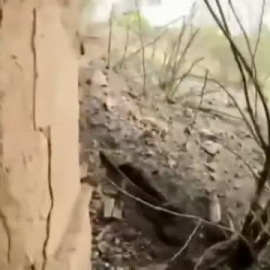 Ucrania vuela puentes en la región de Lugansk para frenar el avance de Putin