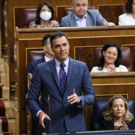 El president del Govern espanyol, Pedro Sánchez, a la sessió de control del Congrés dels Diputats.