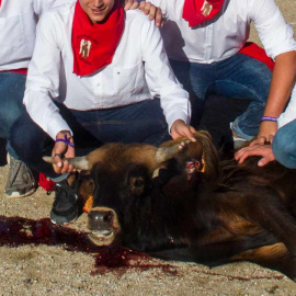 Imagen de la becerrada en San Rafael. PACMA