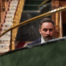 El líder de Vox, Santiago Abascal, durante la sesión plenaria del Congreso de los Diputados celebrada este martes en Madrid