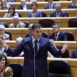 Pedro Sánchez en el senado