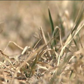 España, al borde de la sequía