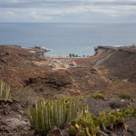 Ejemplares del tabaibal-cardonal próximos al Puertito de Adeje