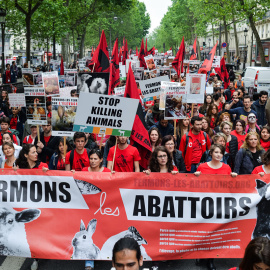 La cabecera de la manifestación convocada por L214 por las calles de París. | L214