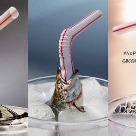 imagen de la campaña de Greenpeace/Greenpeace