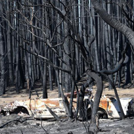 Incendio en la isla Canguro, en Australia. / EFE