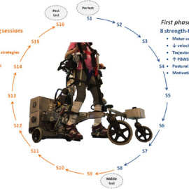 Figura ilustrativa de la plataforma CP-Walker y el programa de entrenamiento propuesto durante esta investigación. / Bayón et al. Journal of NeuroEngeneering and Rehabilitacion (2018) 15(69).